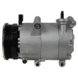 Compresseur, climatisation MAHLE ACP 554 000P - Visuel 3