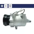 Compresseur, climatisation MAHLE ACP 814 000S - Visuel 1