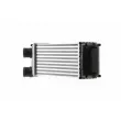 Intercooler, échangeur MAHLE CI 166 000S - Visuel 2