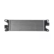 Intercooler, échangeur MAHLE CI 416 000P - Visuel 1