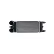 Intercooler, échangeur MAHLE CI 525 000P - Visuel 1