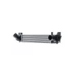 Intercooler, échangeur MAHLE CI 627 000P - Visuel 3