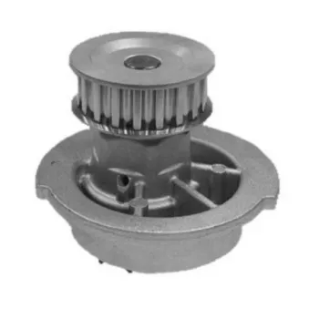Pompe à eau MAHLE CP 110 000S