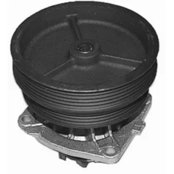 Pompe à eau MAHLE CP 146 000S