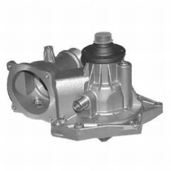 Pompe à eau MAHLE CP 166 000S