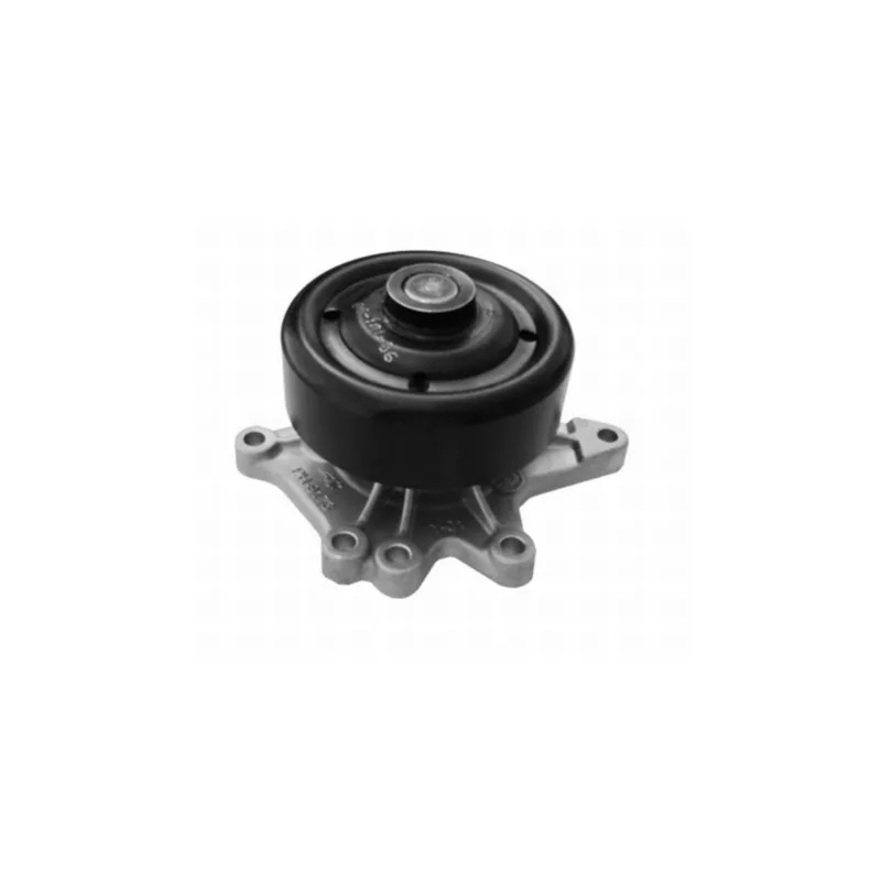 Pompe à eau MAHLE CP 290 000S