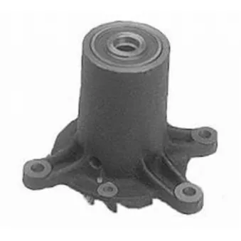 Pompe à eau MAHLE CP 313 000S