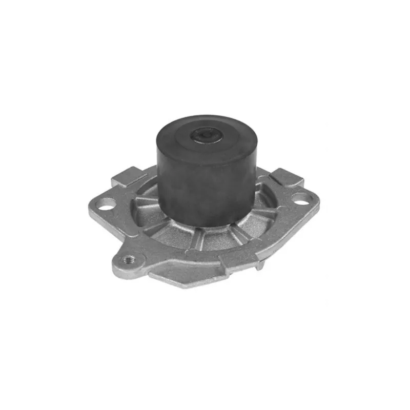 Pompe à eau MAHLE CP 42 000S