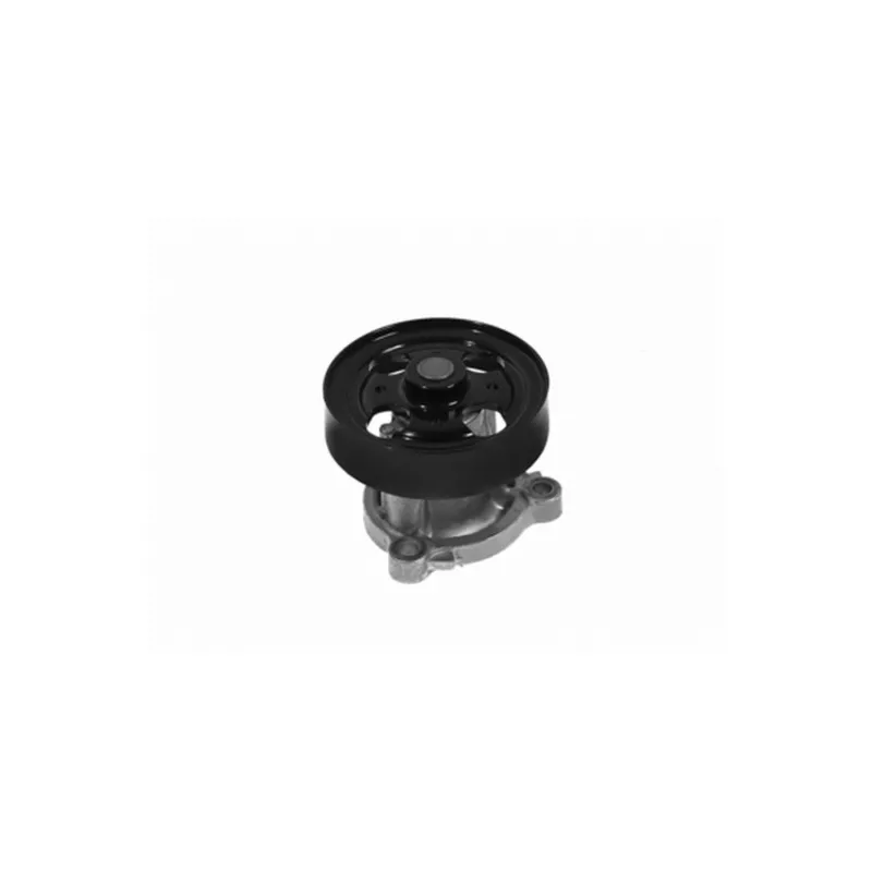 Pompe à eau MAHLE CP 424 000S