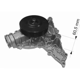 Pompe à eau MAHLE CP 436 000S
