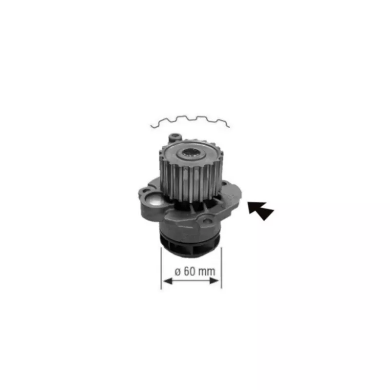 Pompe à eau MAHLE CP 557 000S
