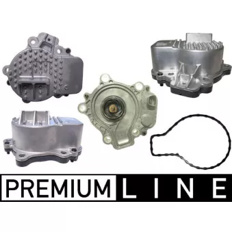 Pompe à eau MAHLE CP 602 000P