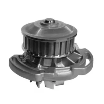 Pompe à eau MAHLE CP 66 000S