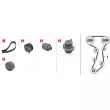 Pompe à eau + kit de courroie de distribution MAHLE CPK 110 000P - Visuel 2