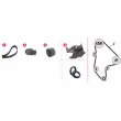 Pompe à eau + kit de courroie de distribution MAHLE CPK 51 000P - Visuel 2