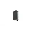 Radiateur, refroidissement du moteur MAHLE CR 1186 000P - Visuel 1