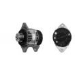 Alternateur MAHLE MG 267 - Visuel 3