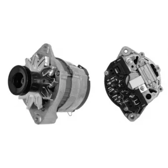 Alternateur MAHLE MG 376
