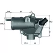 Thermostat d'eau MAHLE TH 11 87 - Visuel 1