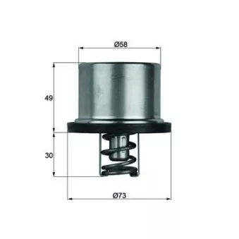Thermostat d'eau MAHLE THD 1 79
