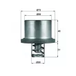 Thermostat d'eau MAHLE THD 2 89 - Visuel 1