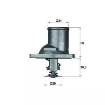Thermostat d'eau MAHLE TI 1 83