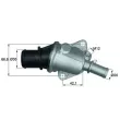 Thermostat d'eau MAHLE TI 105 88 - Visuel 1