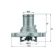 Thermostat d'eau MAHLE TI 122 87D - Visuel 1