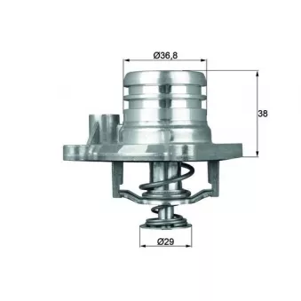 Thermostat d'eau MAHLE TI 13 92