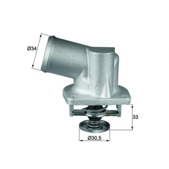 Thermostat d'eau MAHLE TI 132 92D