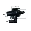 Thermostat d'eau MAHLE TI 150 88 - Visuel 1