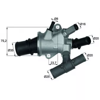 Thermostat d'eau MAHLE