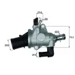 Thermostat d'eau MAHLE TI 174 88 - Visuel 1