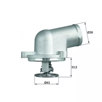 Thermostat d'eau MAHLE TI 207 87D