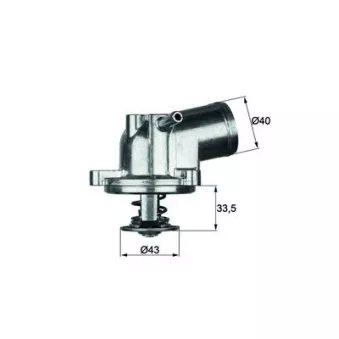 Thermostat d'eau MAHLE TI 21 71