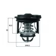 Thermostat d'eau MAHLE TI 246 50 - Visuel 1