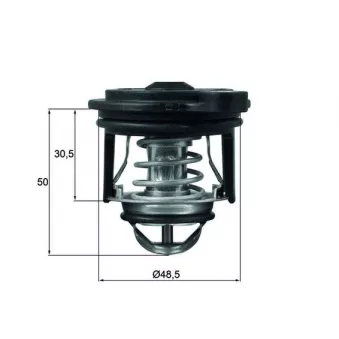 Thermostat d'eau MAHLE TI 246 50