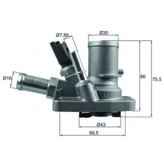 Thermostat d'eau MAHLE TI 258 80