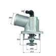 Thermostat d'eau MAHLE TI 55 92D - Visuel 1