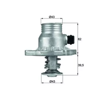 Thermostat d'eau MAHLE TM 11 105