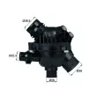 Thermostat d'eau MAHLE TM 14 97 - Visuel 1