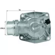 Thermostat d'eau MAHLE TM 16 105 - Visuel 1