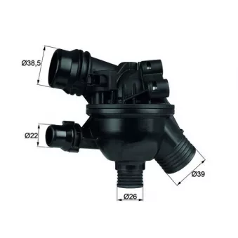 Thermostat d'eau MAHLE TM 19 102