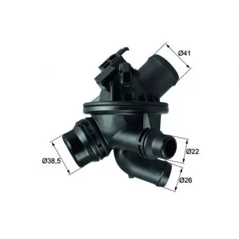 Thermostat d'eau MAHLE