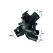 Thermostat d'eau MAHLE TM 21 97 - Visuel 1