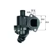 Thermostat d'eau MAHLE TM 3 100 - Visuel 1