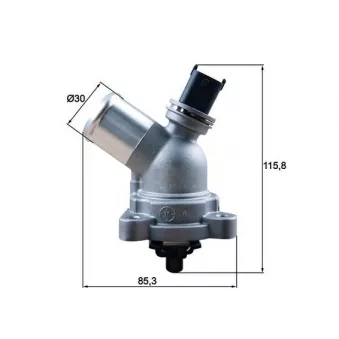 Thermostat d'eau MAHLE