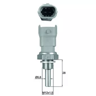 Sonde de température, liquide de refroidissement MAHLE TSE 10