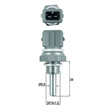 Sonde de température, liquide de refroidissement MAHLE TSE 19