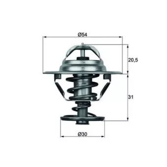Thermostat d'eau MAHLE TX 10 66D